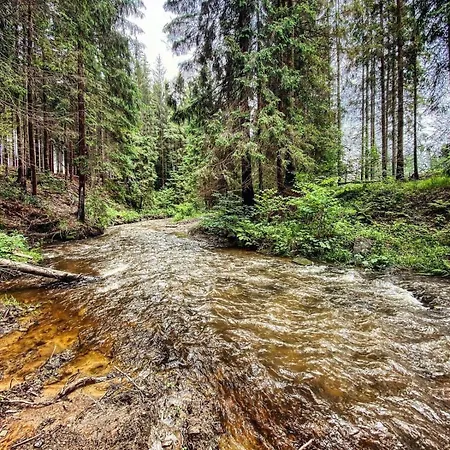 شقة Ustronne Zacisze - Zdroj Zeta Park