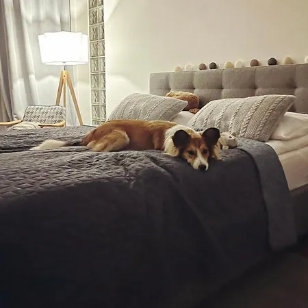 Ustronne Zacisze - Zdroj Zeta Park *