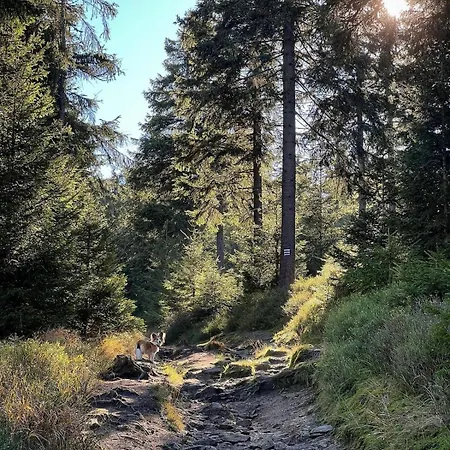 Ustronne Zacisze - Zdroj Zeta Park شقة أوسترون