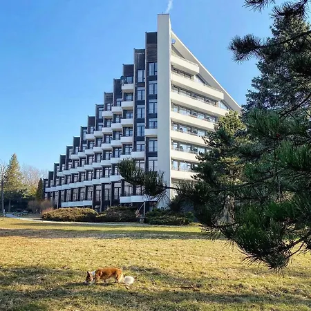 Ustronne Zacisze Zdrój Zeta Park *
