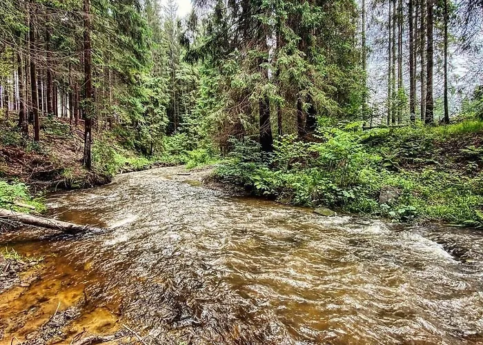 Apartment Ustronne Zacisze - Zdroj Zeta Park