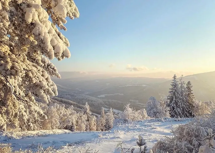 Apartment Ustronne Zacisze - Zdroj Zeta Park *