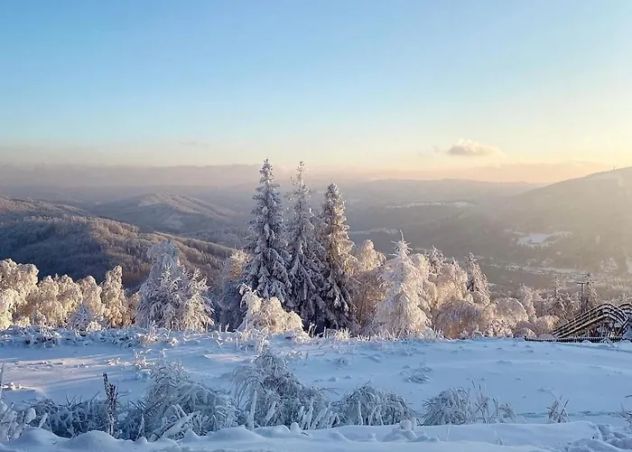 Ustronne Zacisze - Zdroj Zeta Park *