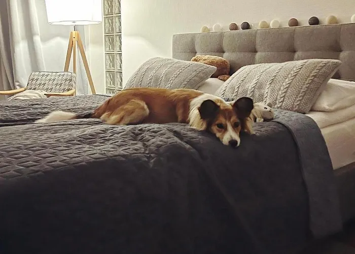 Ustronne Zacisze - Zdroj Zeta Park *