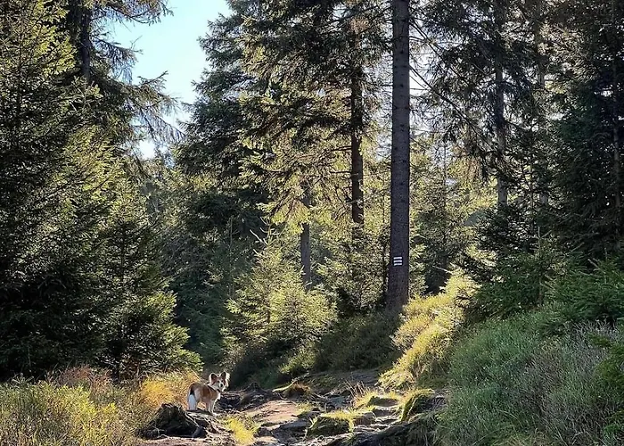 Ustronne Zacisze - Zdroj Zeta Park Apartmán Ustroň